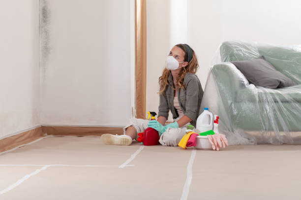 Reliable Mold Cleanup contractor in East Berlin, PA by WQB Mold Removal